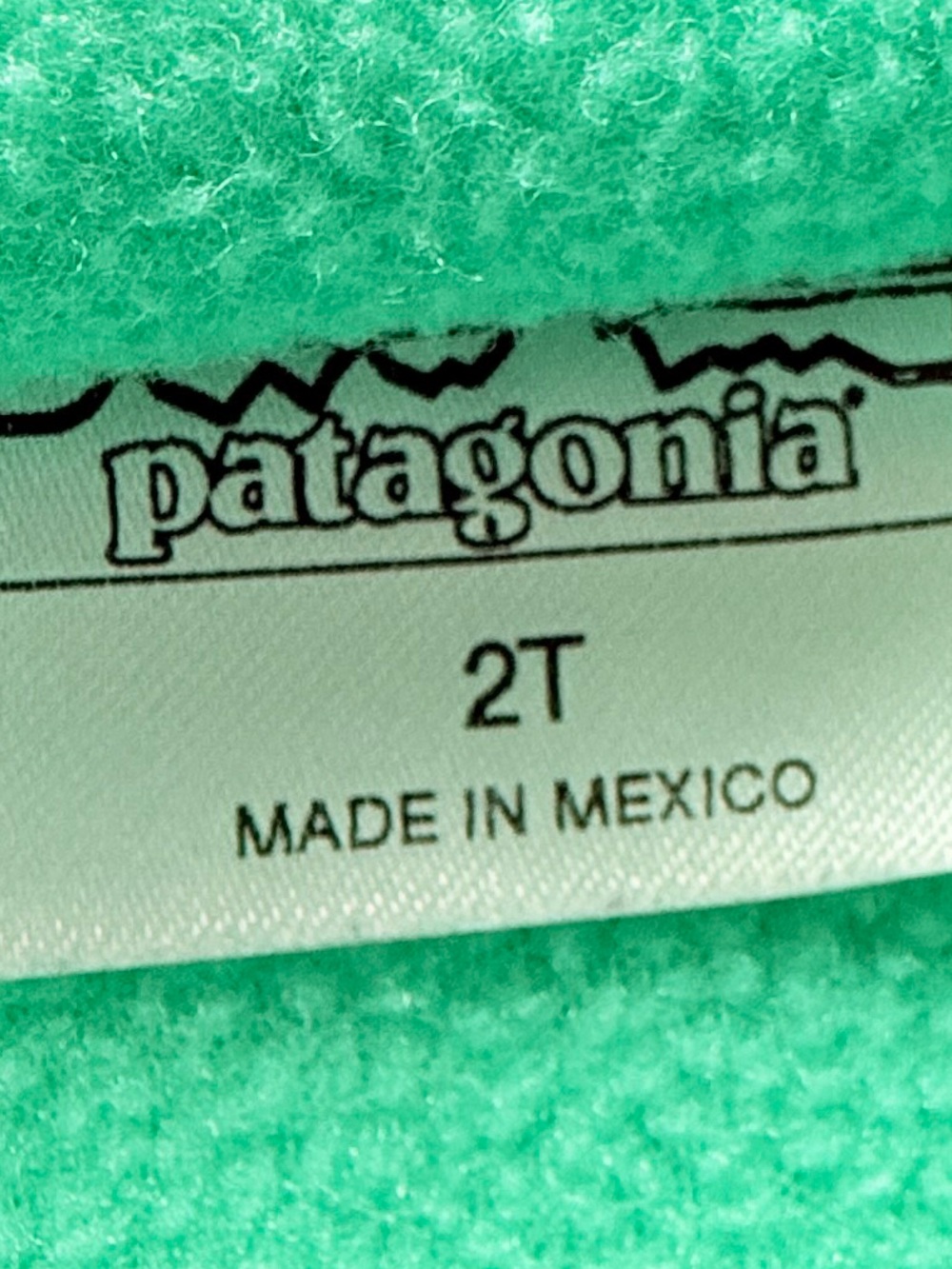 Patagonia Kids Green & Blue Fleece Vest with Royal Blue Trim - Picture 5 of 6